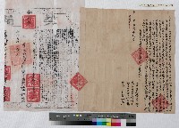 藏品(嘉慶八年黃振興向陸仁立杜賣契（附契尾）)的圖片